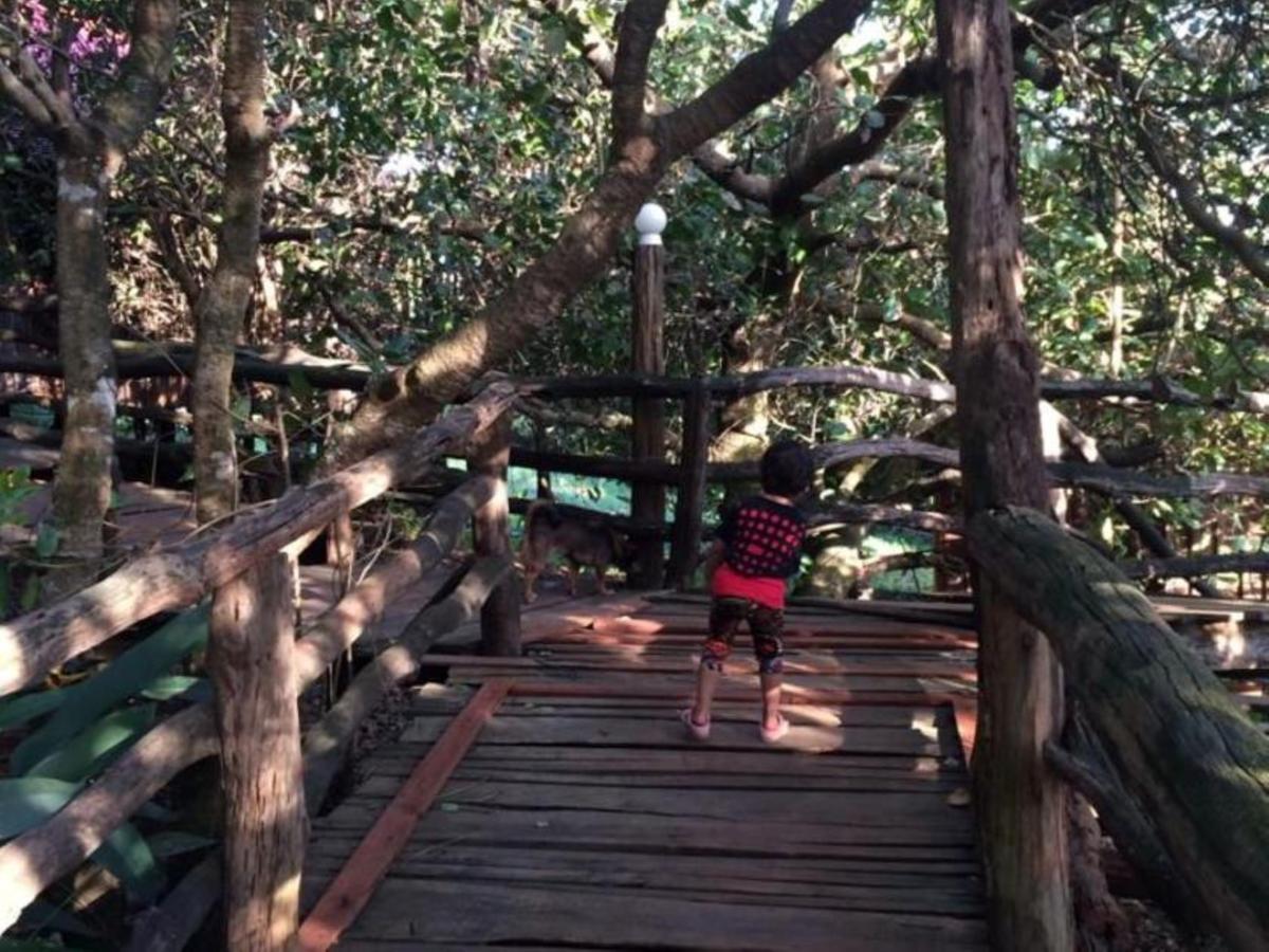 Tree Top Eco-Lodge Banlung Luaran gambar